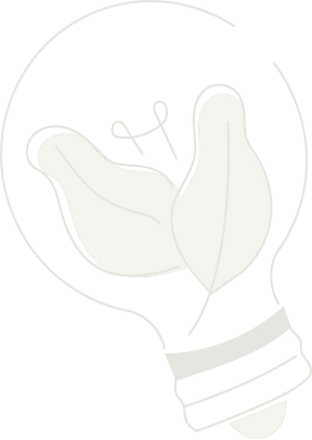 Acacia Energy bulb illustration